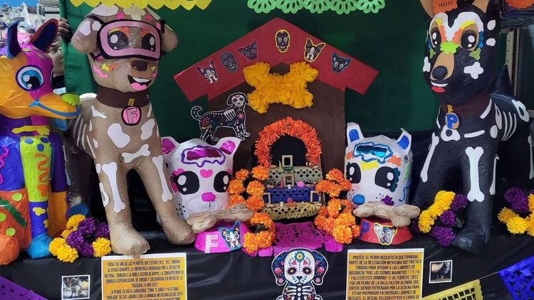 Dia de Muertos mascotas