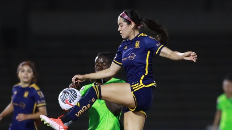 Tigres Femenil