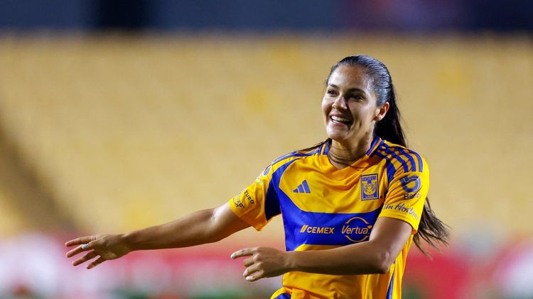 Tigres Femenil