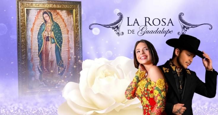 La Rosa de Guadalupe