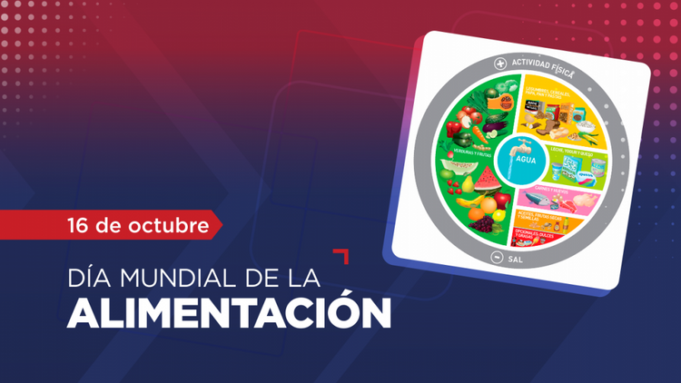 Dia Mundial de la Alimentación