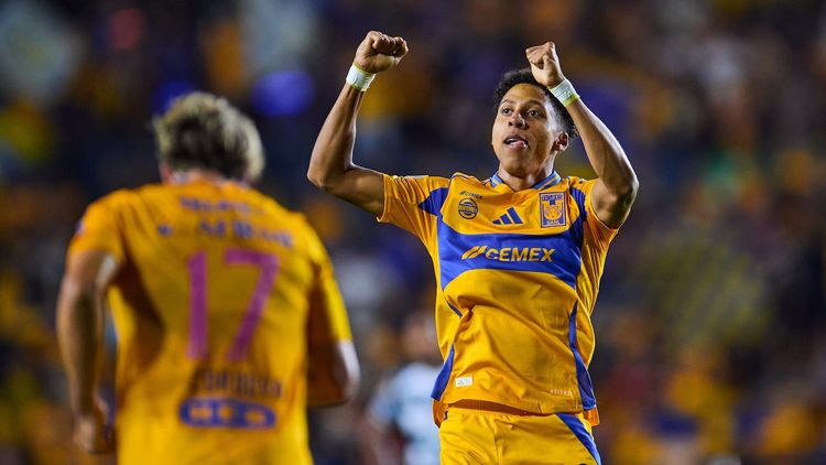 Tigres vs Pachuca