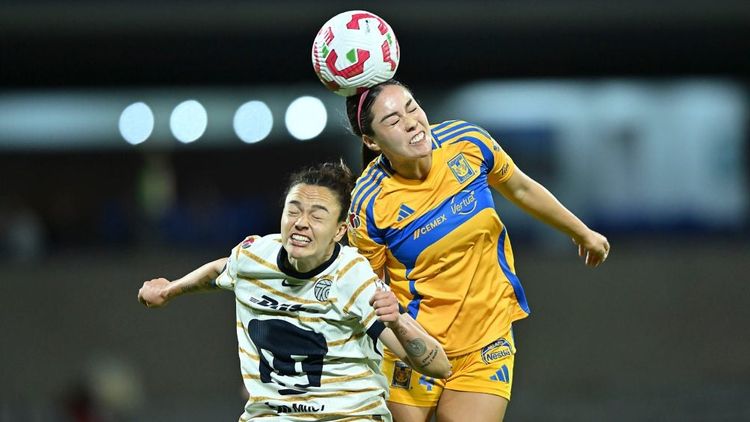 Tigres Femenil