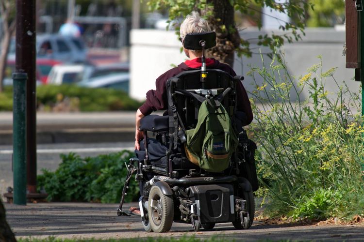 Dia Internacional de las Personas con Discapacidad